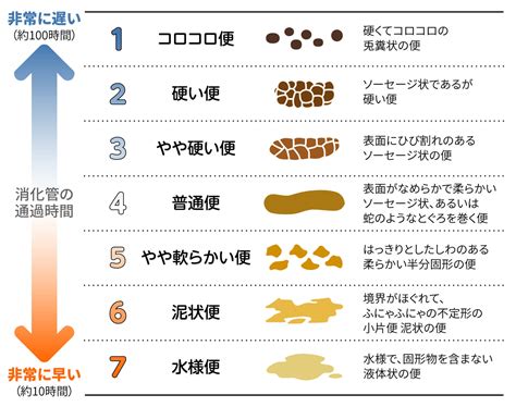 水便原因|水様便（水溶性下痢）の原因 – とある内科医の雑記帳